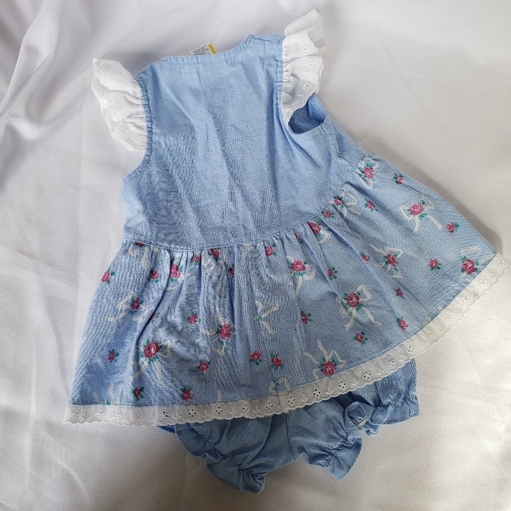 Baby Blue Floral Print Dress and Diaper Cover Set Pink Roses Lace Trim Baby Girl - Picture 6 of 8